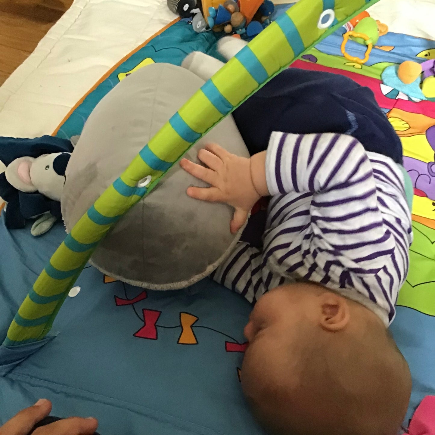 Doudou Grande baleine
