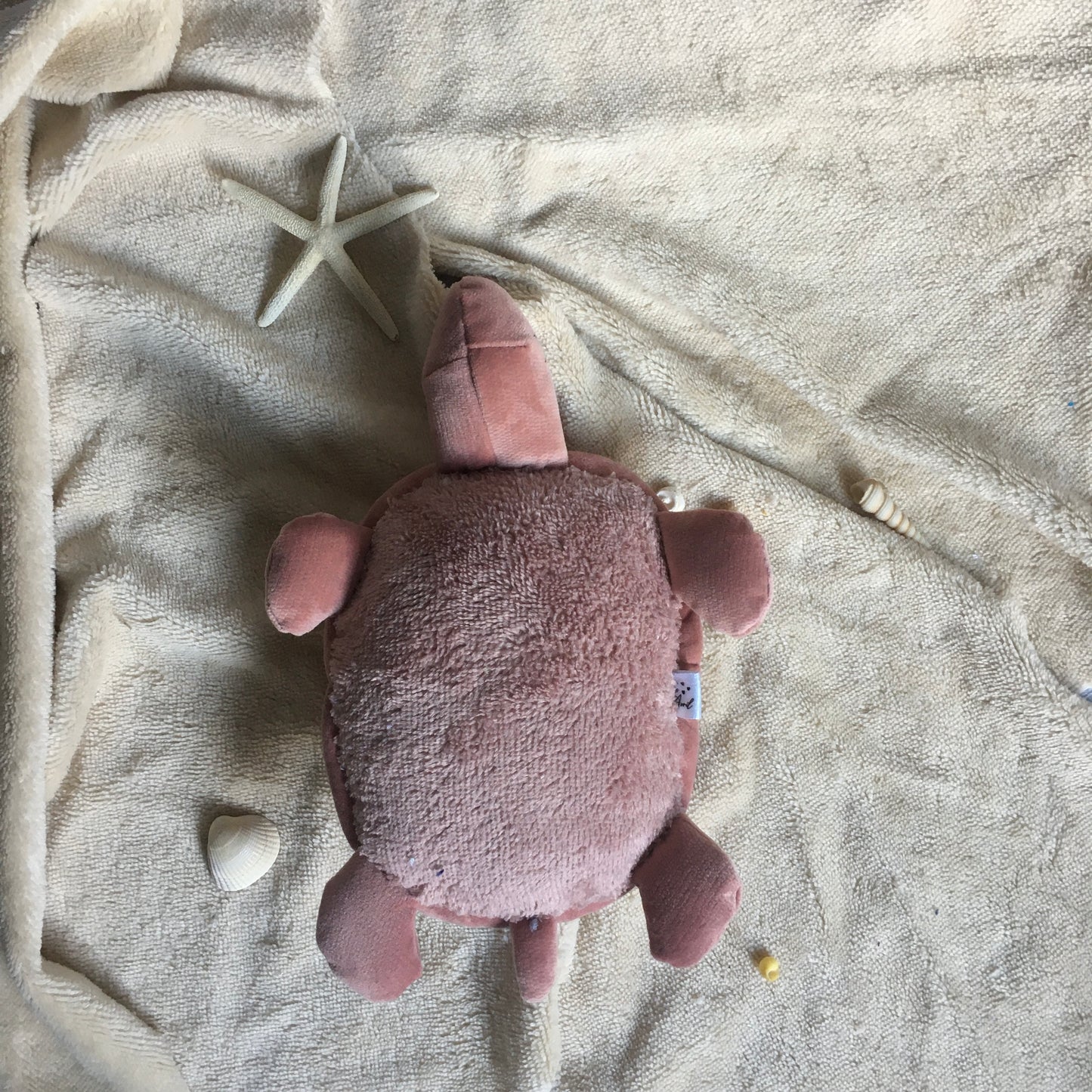 Doudou Tortue