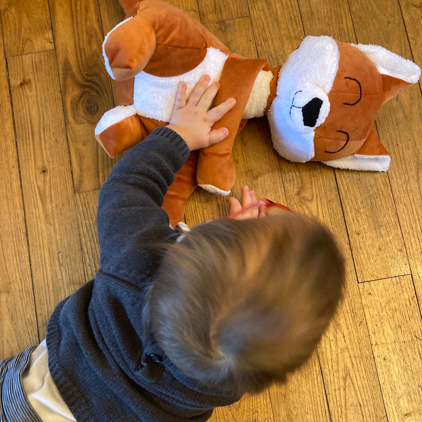 Doudou Renard