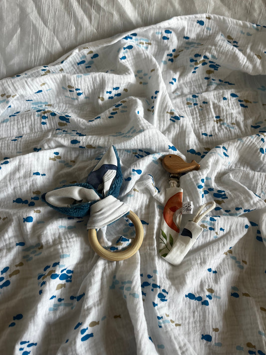 Coffret Petits Poissons 🐠